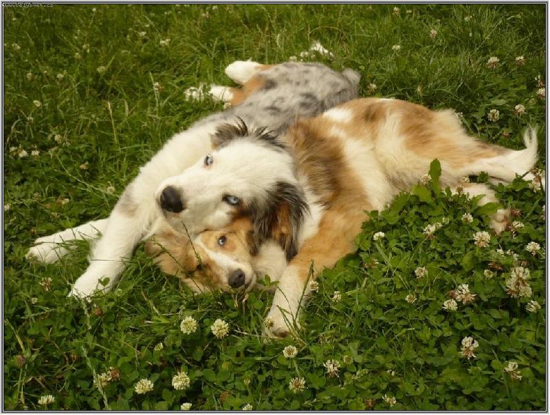 Foto: tak jsem si po��dil pol�t��