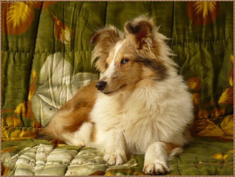 Foto: Bordyho pohodov� den