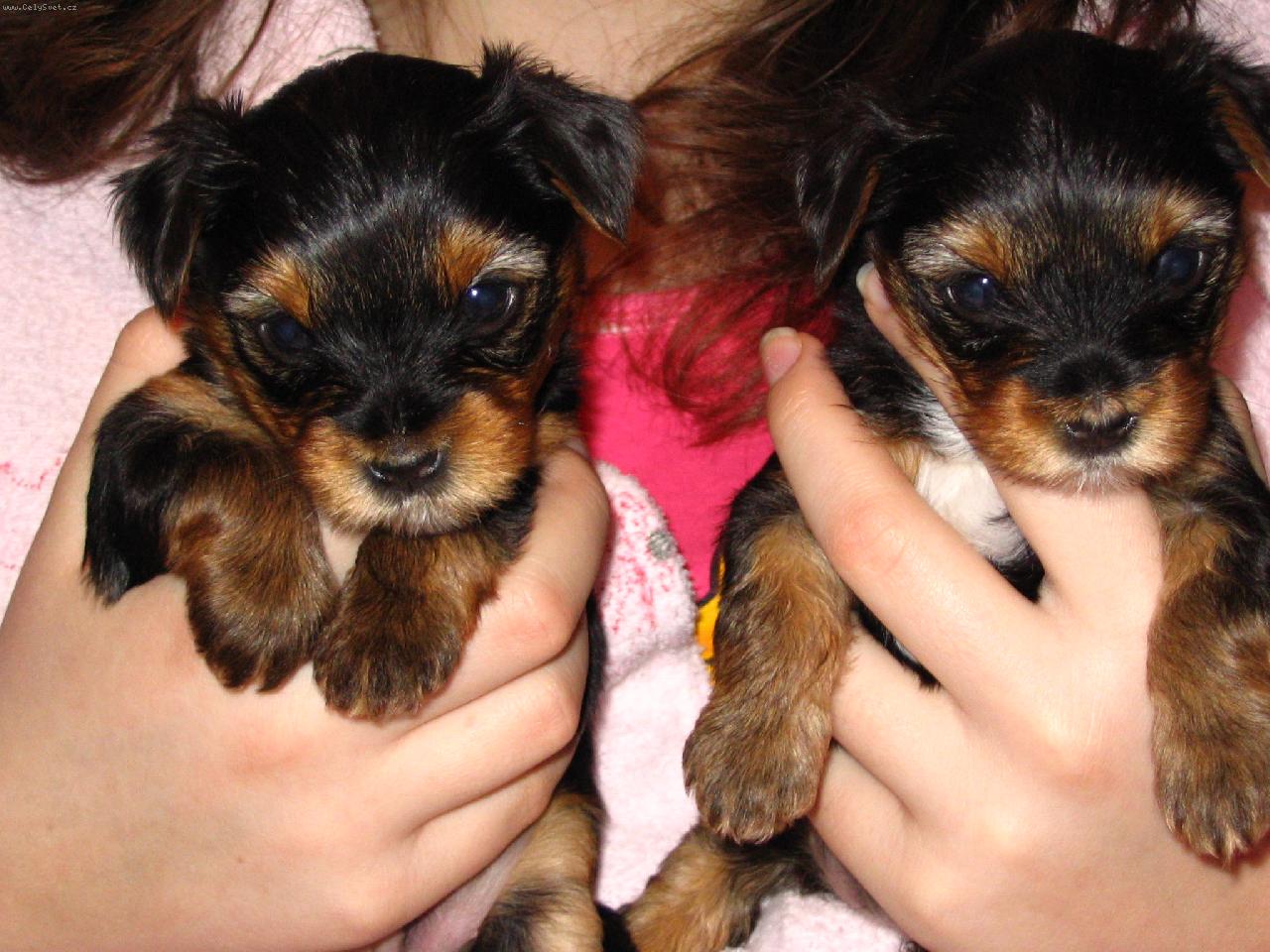 Foto: Miminka-Aimee a Anny