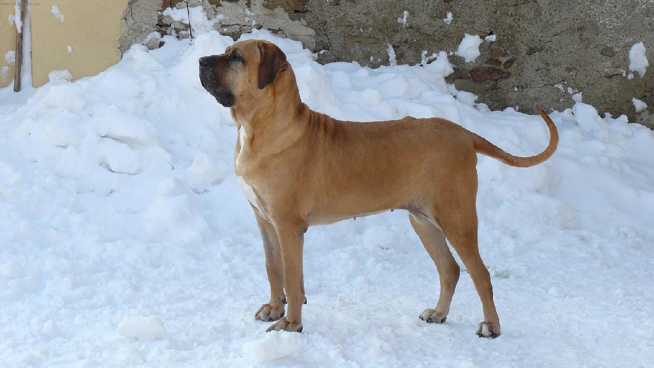 Foto: Anitka-Tak to je na�e 11let�  Andulka :)