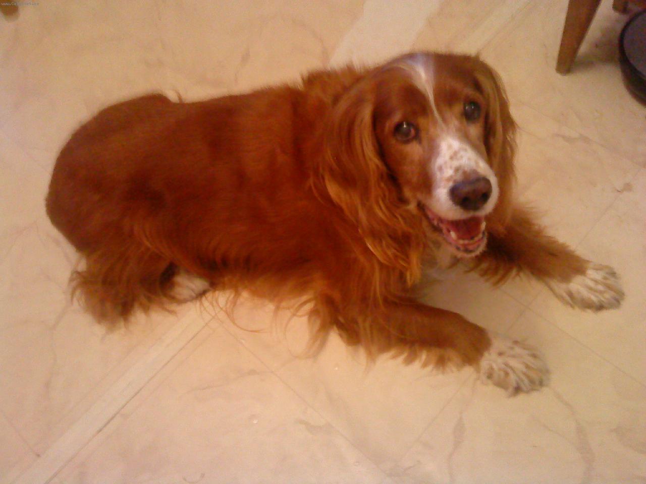 Foto: Britta-Bi�ulka 13 let