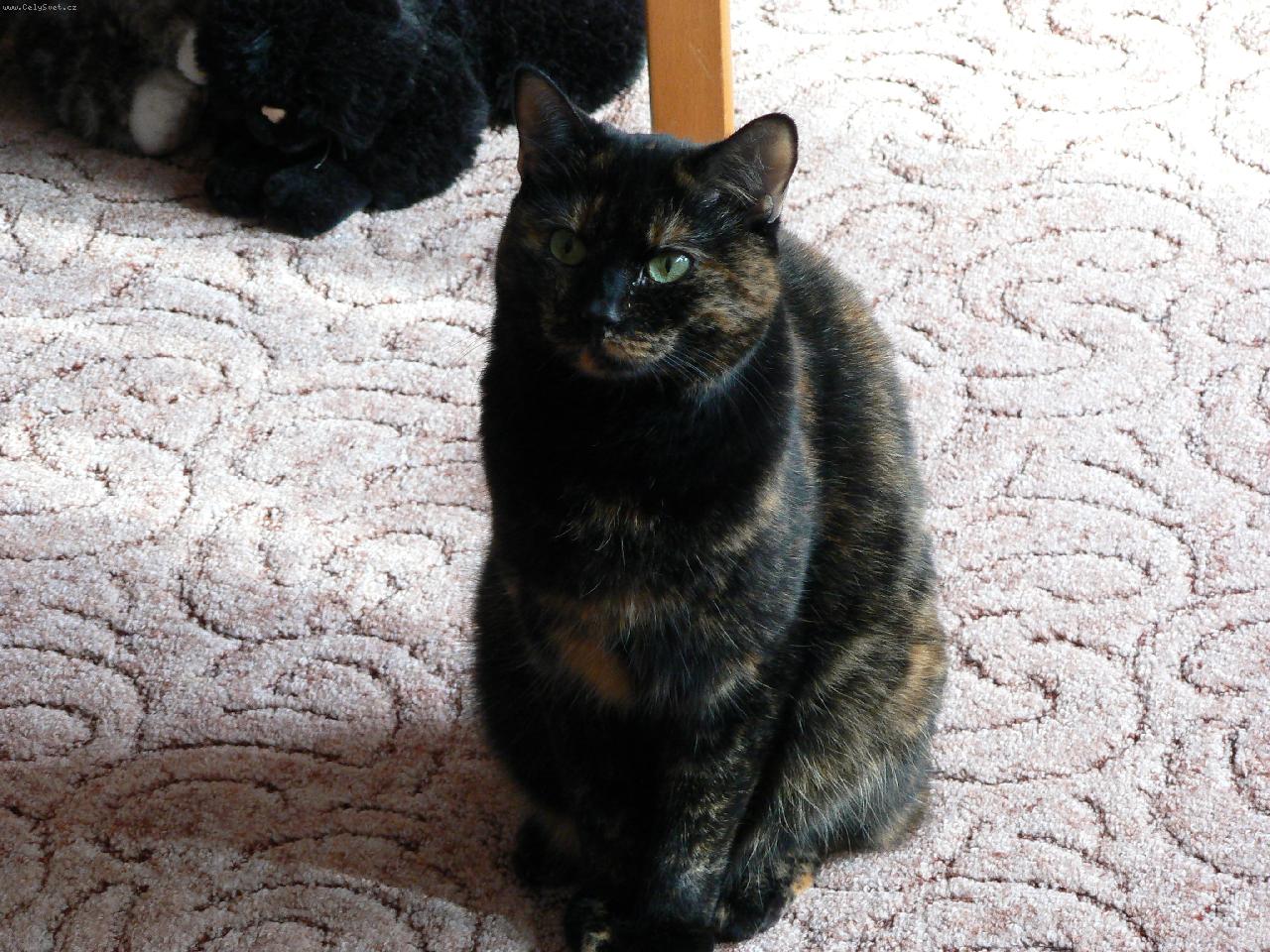 Foto: Moje ���a S�ra-�i�inka:)