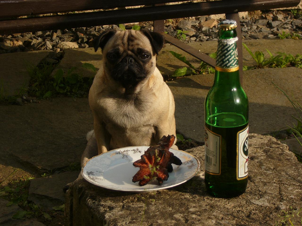 Foto: to bude dobr�tka