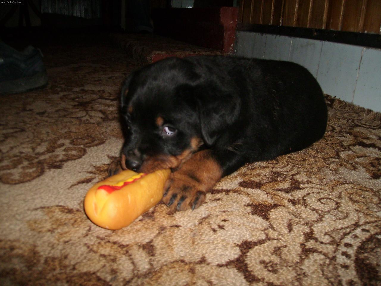 Foto: Corina dva m�s�ce