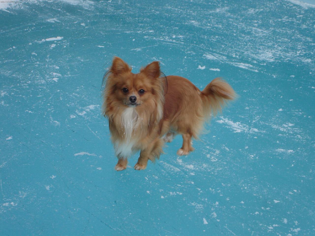 Foto: Luckysek-To kouk�te, co ;-)