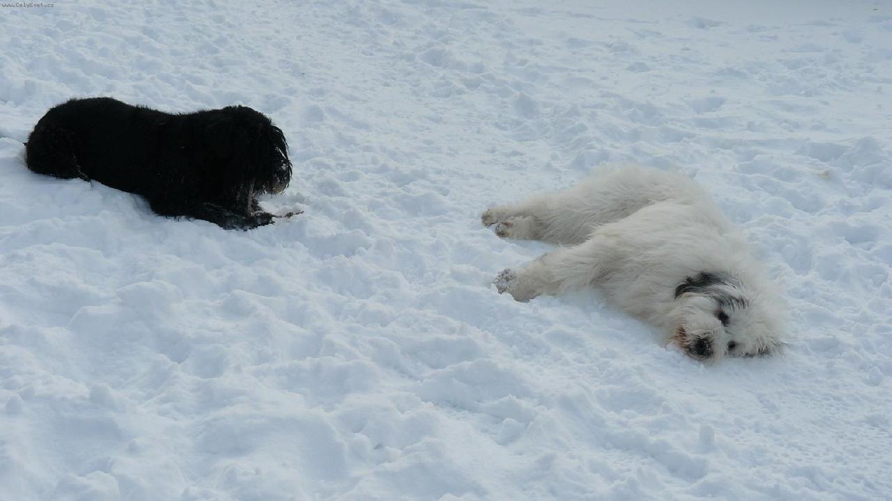 Foto: Brixa a Kar�a