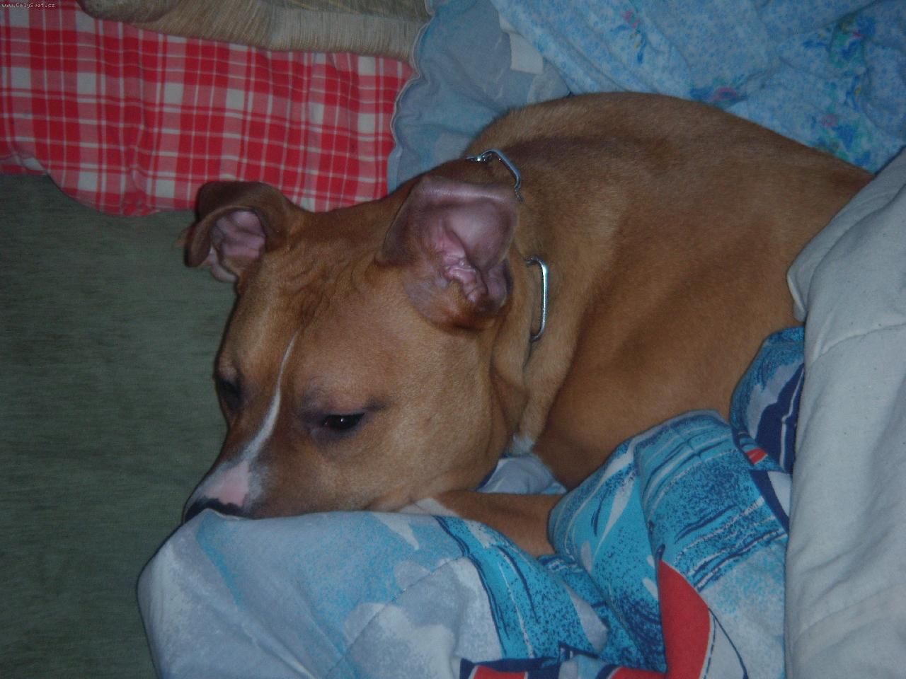 Foto: N� Ares-Pohodi�ka na gau�i