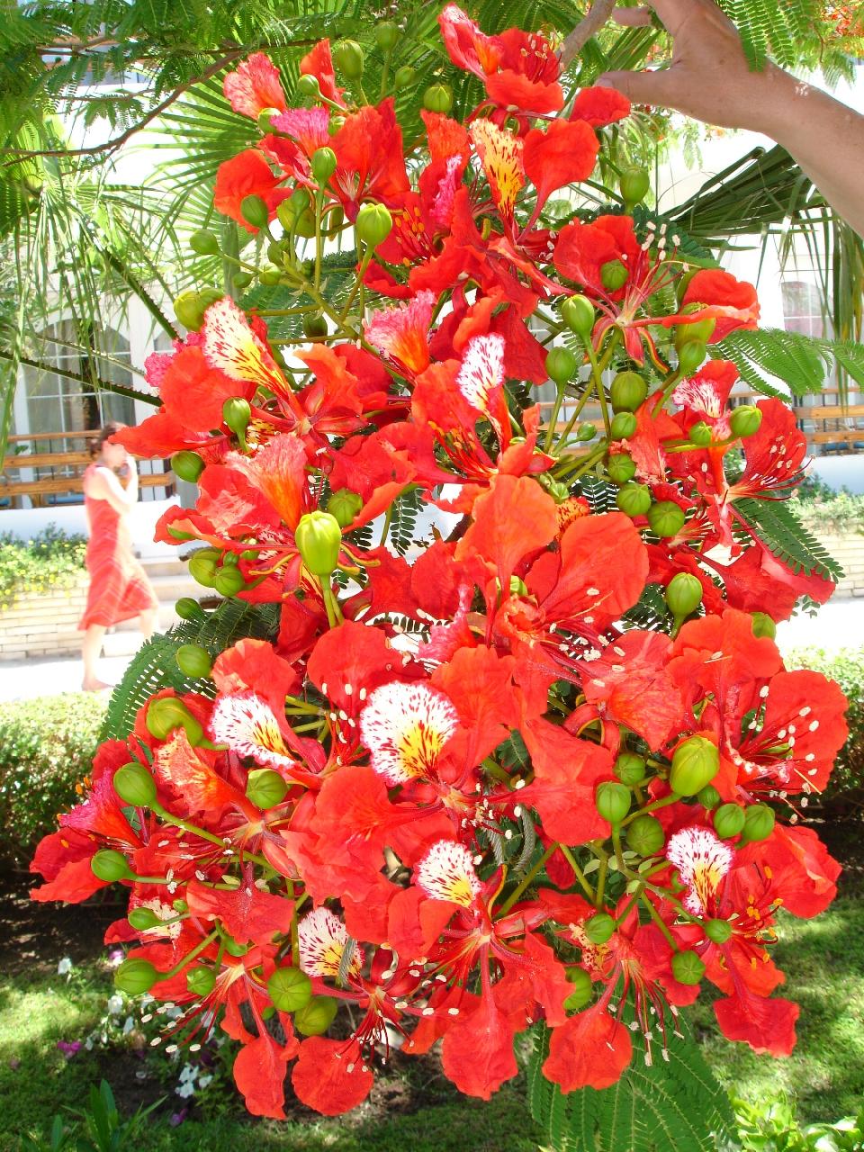 Foto: Moc p�kn� ale mn� nezn�m�