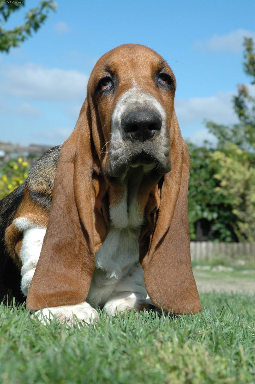 Foto: Gucci Lady Barnett�s