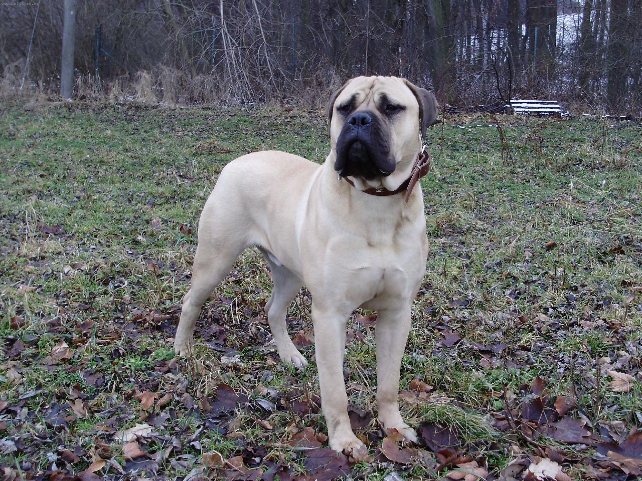 Foto: Gordon Nad�je ze Zvole