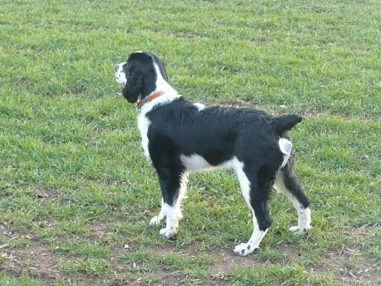 Foto: Charles - Jumbo Z k��ov�ch alej�-�u��m do d�li