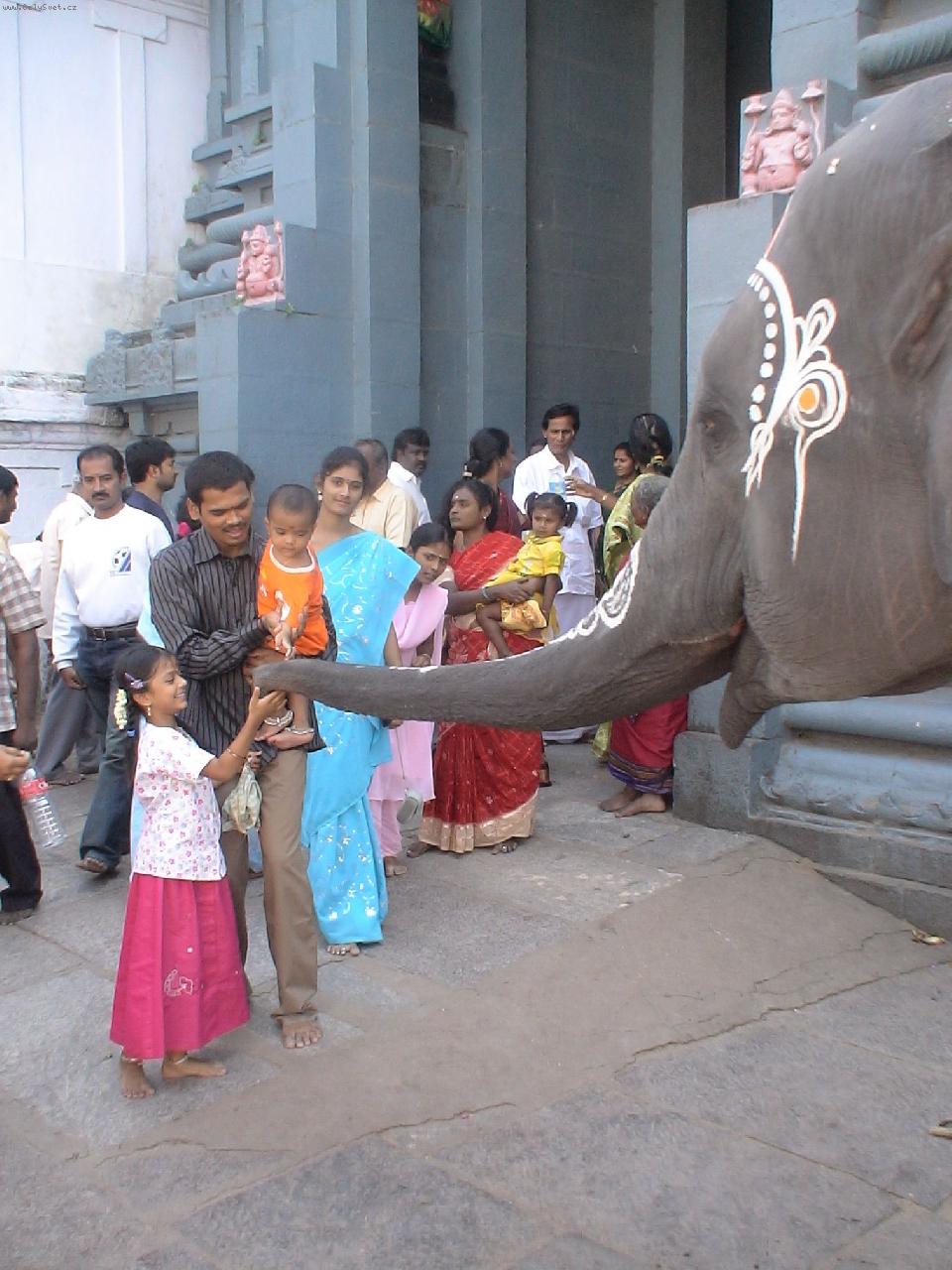 Foto: Po�ehn�n� chr�mov�m slonem