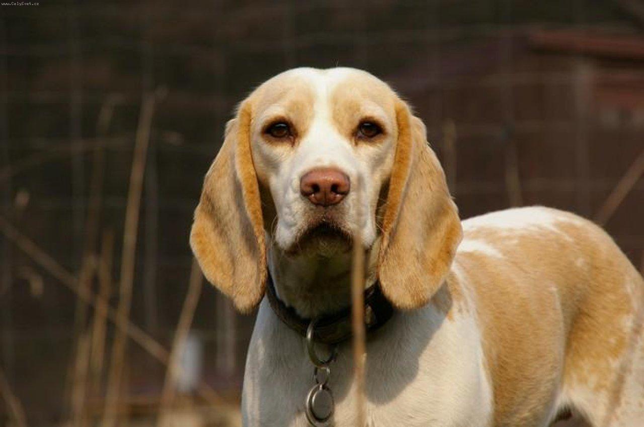 Foto: Lillynka-Princezna Lij�nka