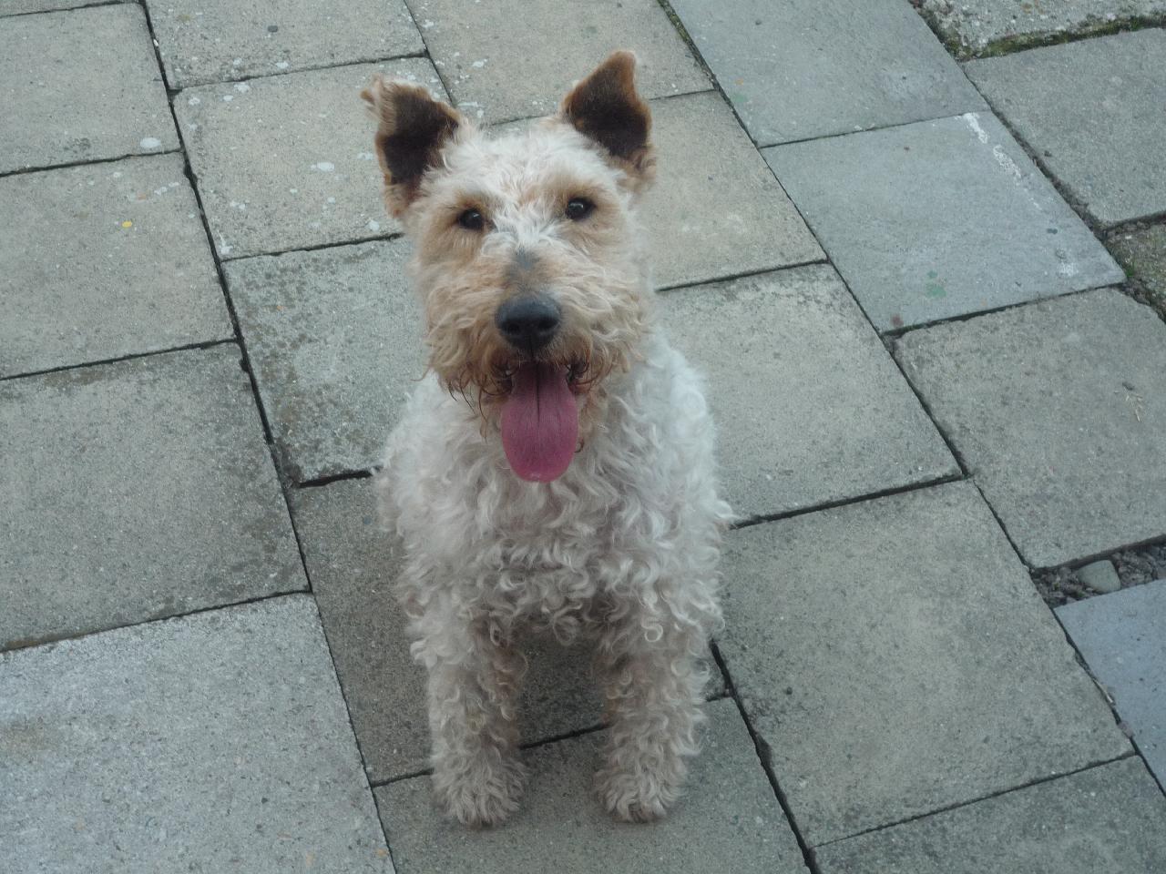 Foto: Na�e Bellinka-Na�e Bellinka