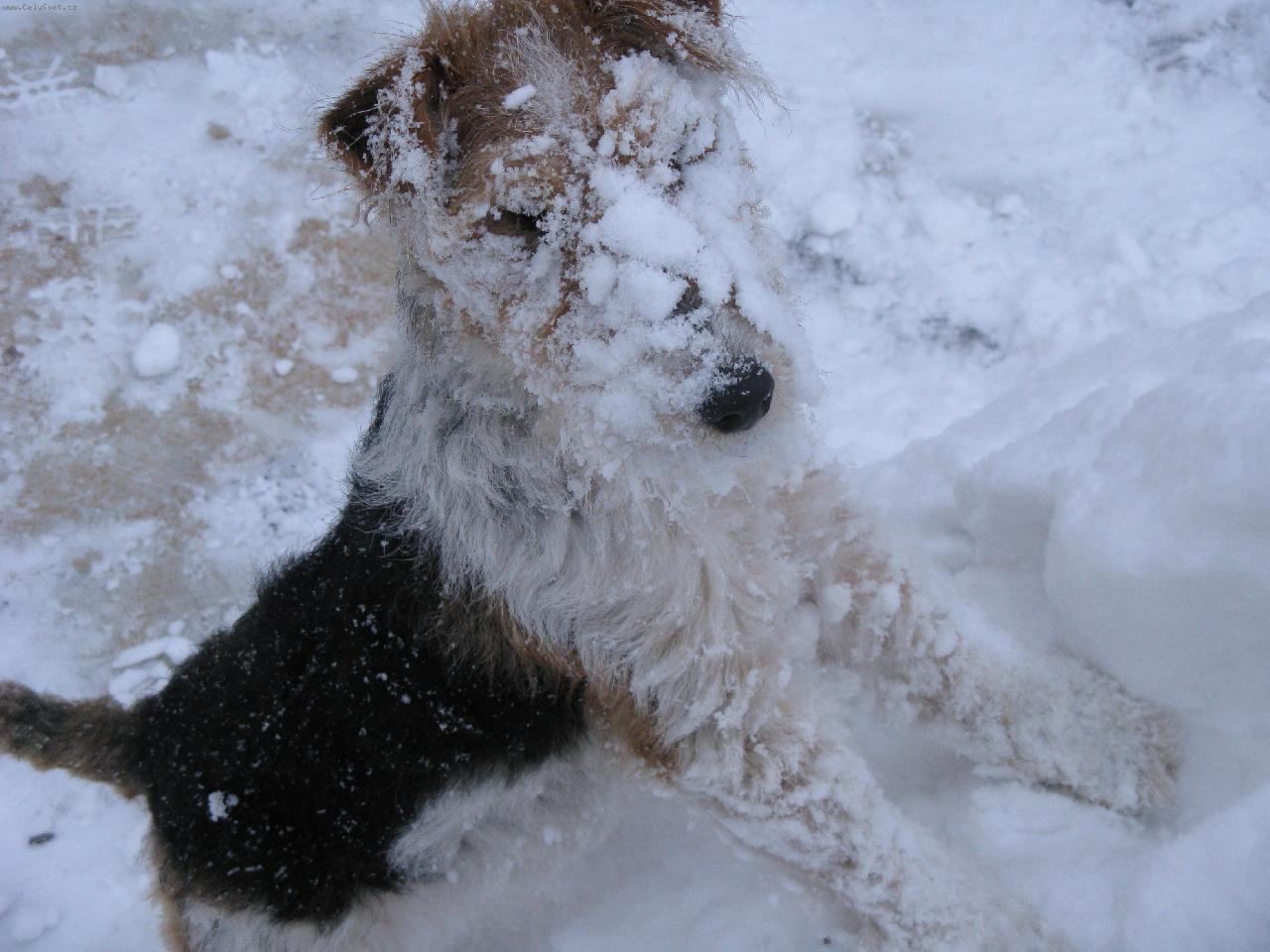 Foto: Anny ve sn�hu