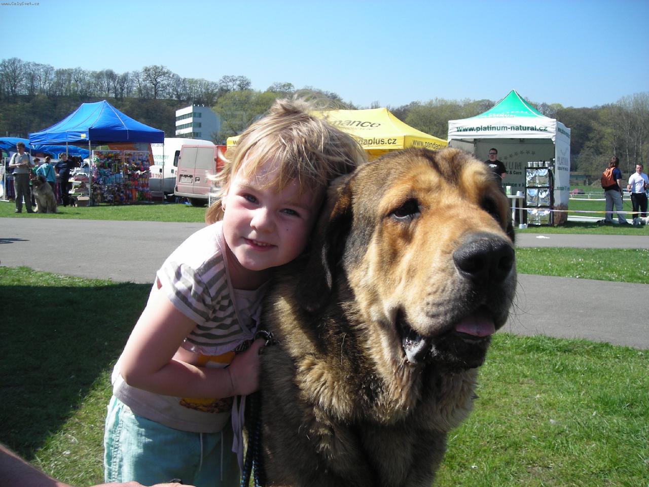 Foto: CHS z Polabsk�ch blat-ARGENTO Con Fundo a Maru�ka