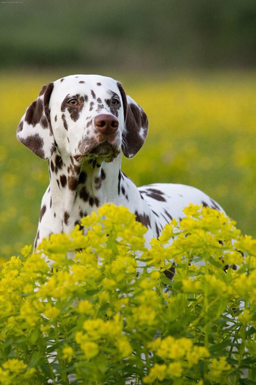 Foto: Kyrunka-Autor Lenka Da�kov�