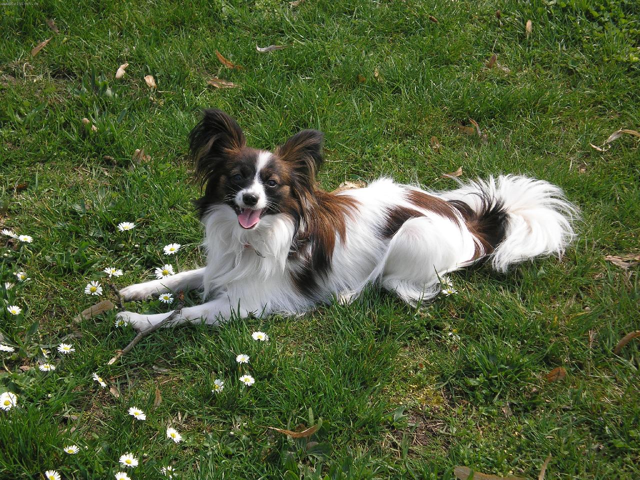 Foto: Eli-Eli - 1 rok