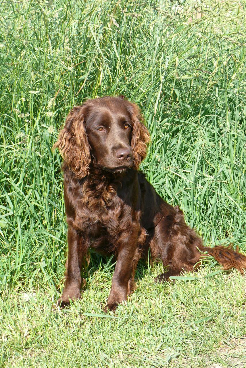 Foto: Na�e kr�ska-U� je tu po t�et�, ale te� u� opravdu v�echny dohnyla :-) tady je n�m 1,5 roku