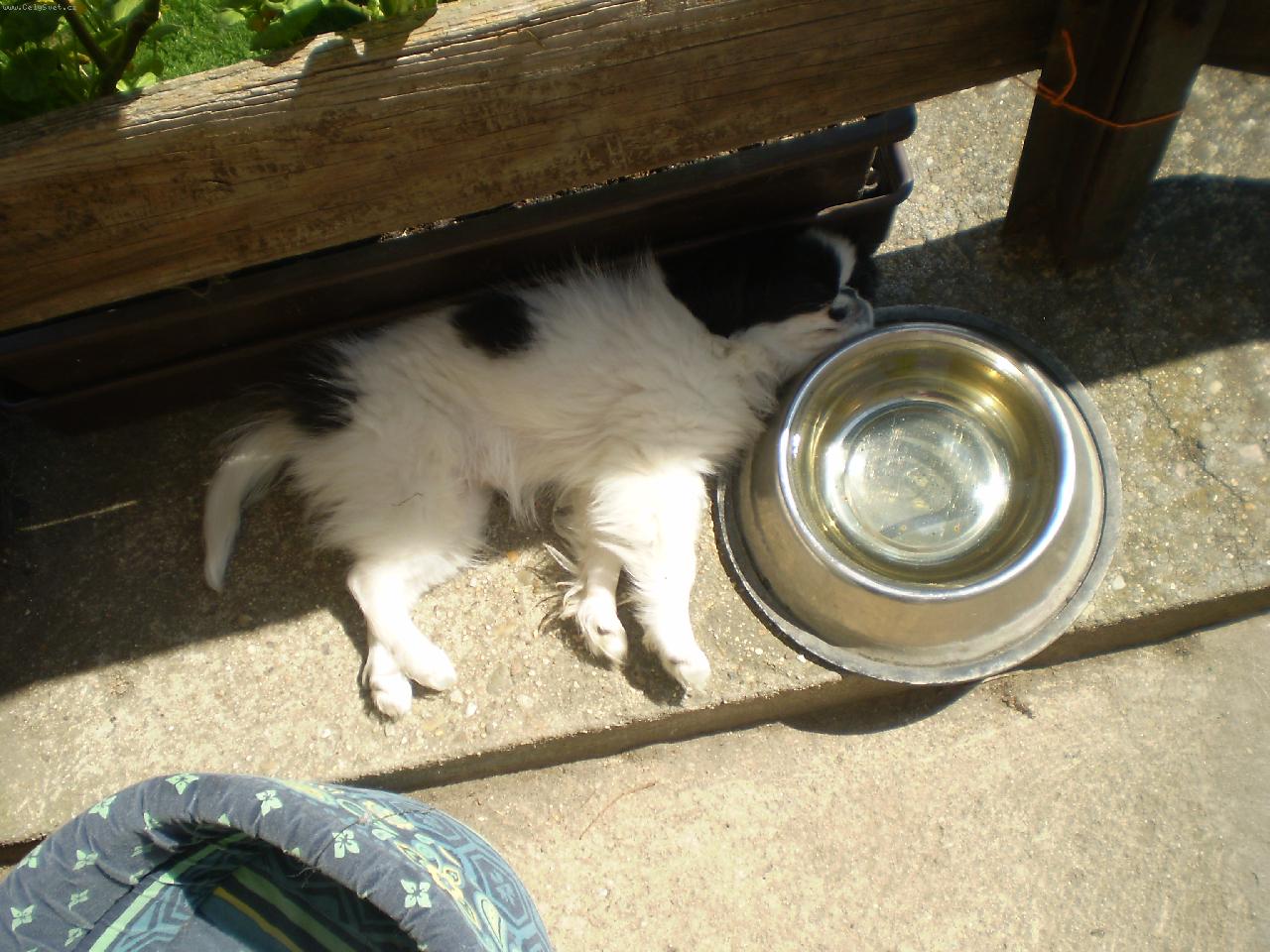 Foto: A� se vzbud�m napiji se