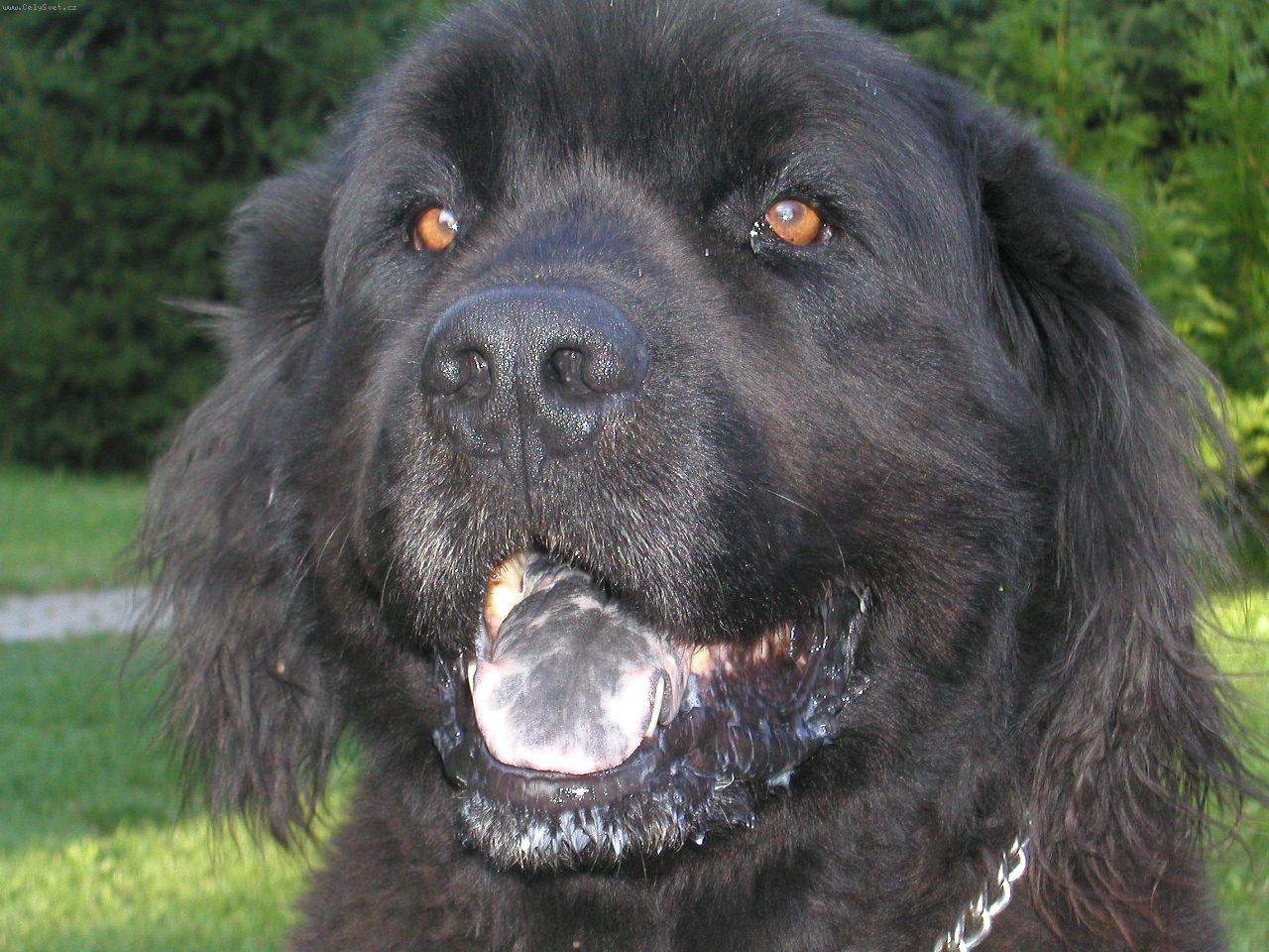 Foto: Ben ze �ebnice-tak u� je mi 11 ...