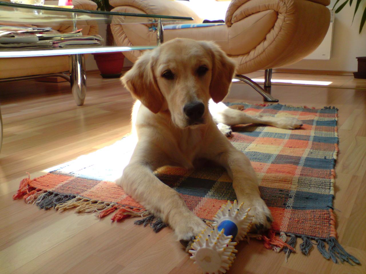 Foto: Laura-To je moje a nikomu to ned�m.