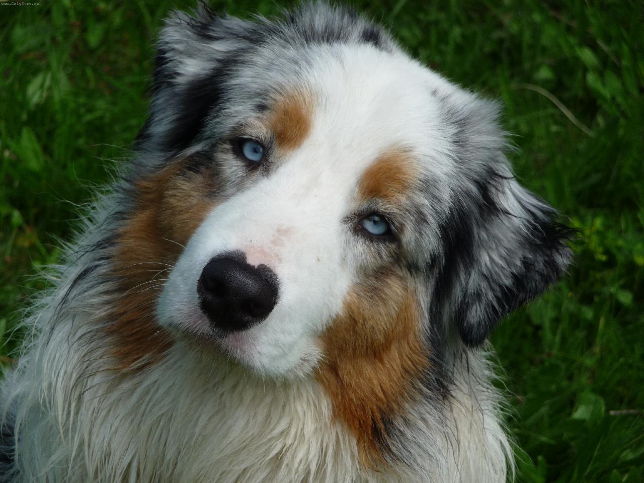 Foto: A Excelent Weihaiwei New Acro "Wait"