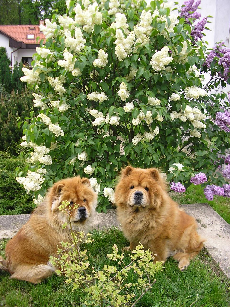 Foto: prvn� m�j je l�sky �as