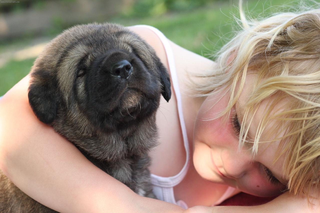 Foto: CHS z Polabsk�ch blat-�t���tko z vrhu D a na�e Maru�ka.