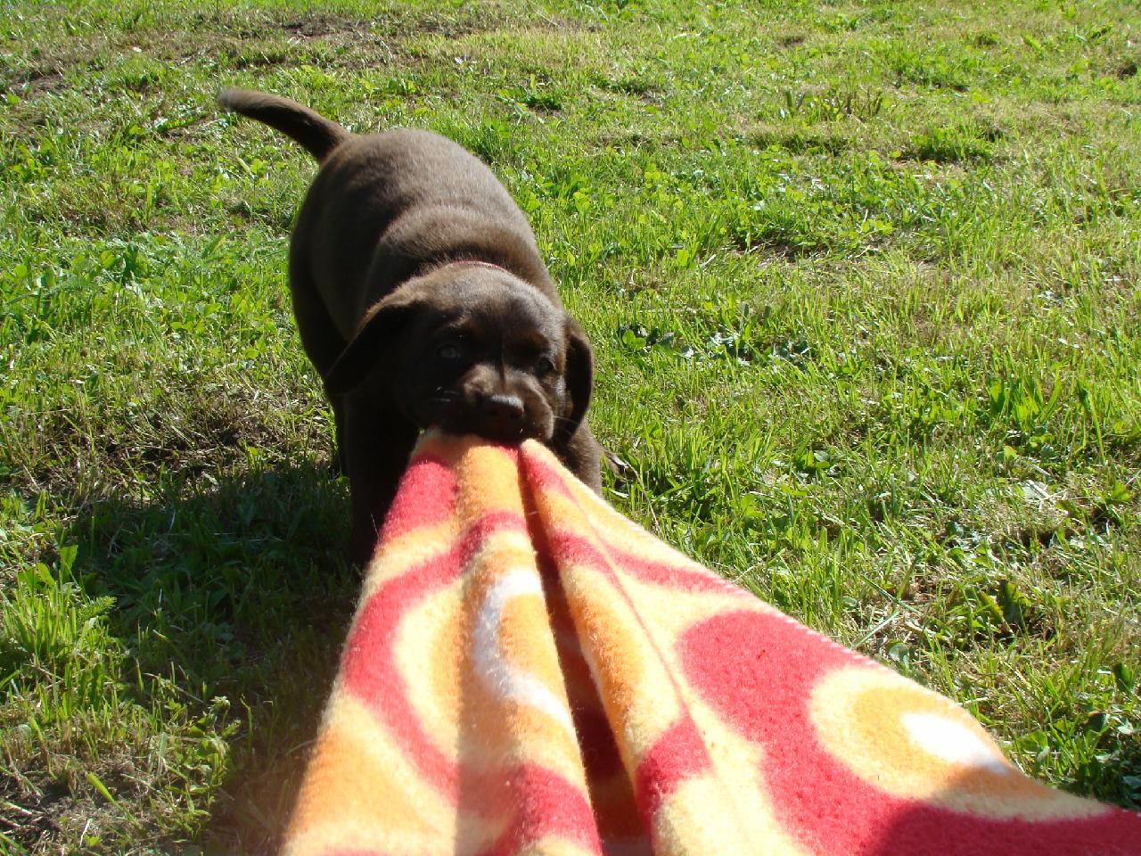 Foto: dej sem tu deku