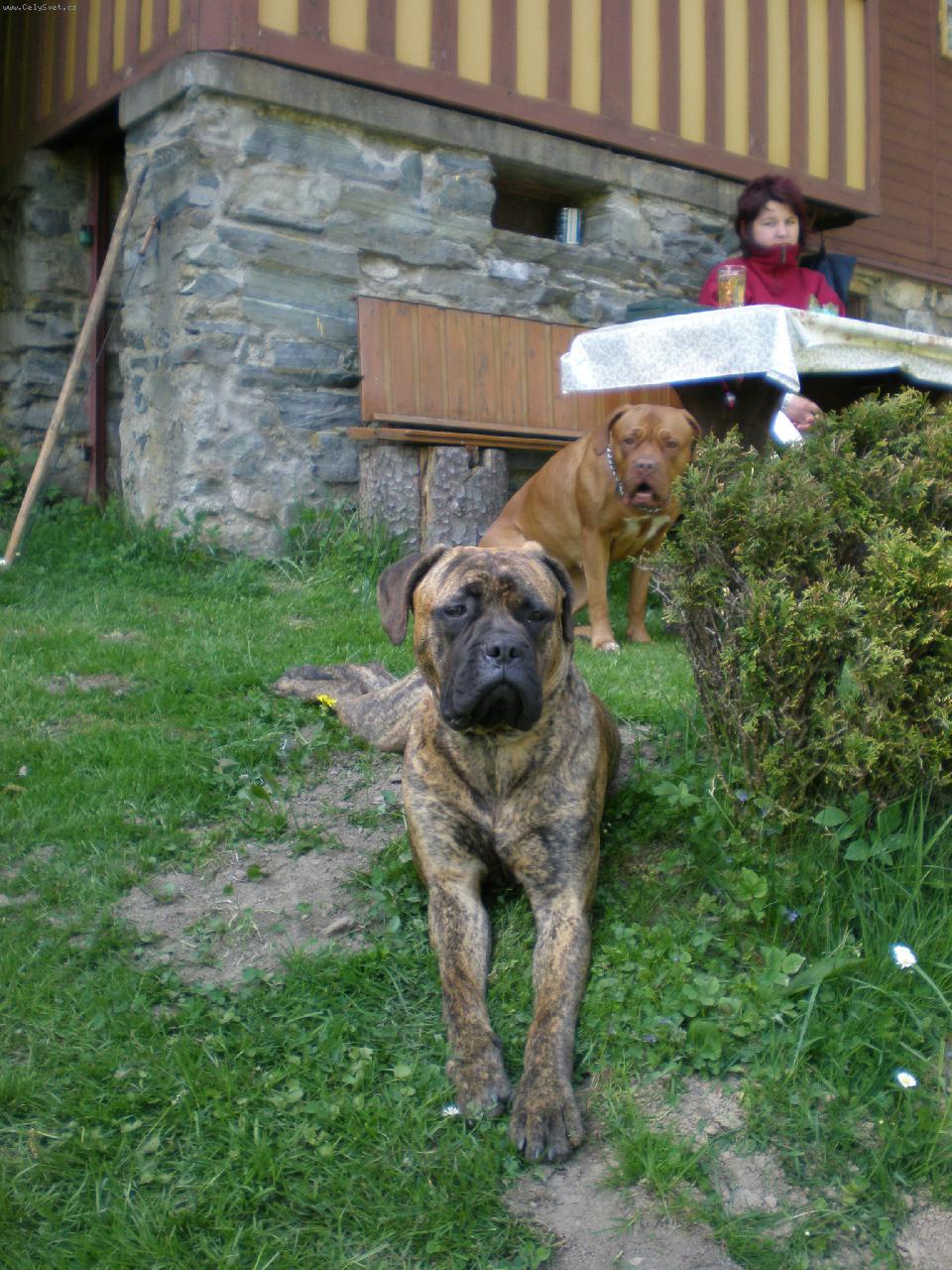 Foto: K�mo�ky-S�rynka a Arletka