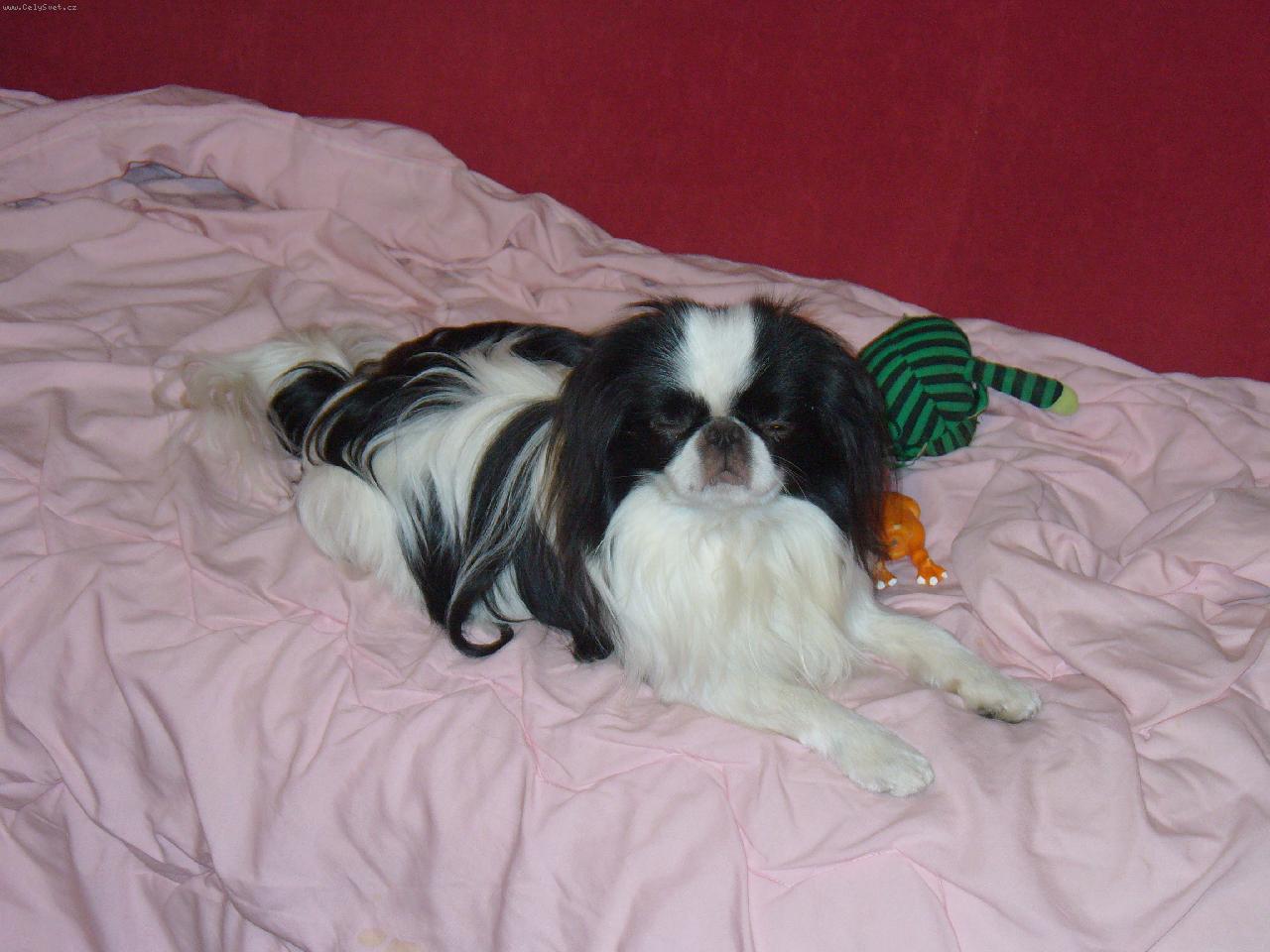 Foto: �iko-To je pohoda