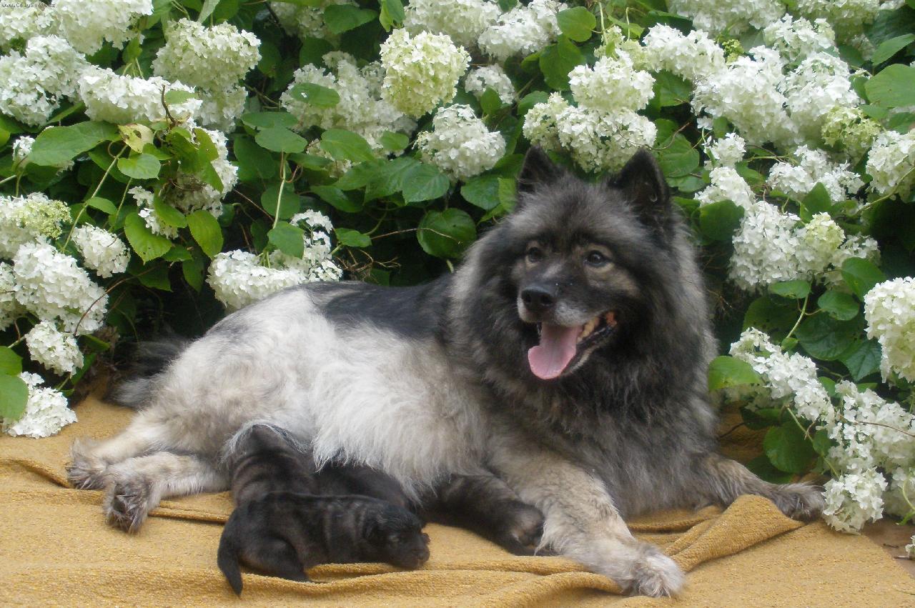 Foto: Vrh I. Re-Jan Moravia 6/09 - N�meck� �pic vl��-Zuza Punkt Widzenia a vrh I. Re-Jan Moravia 6/09