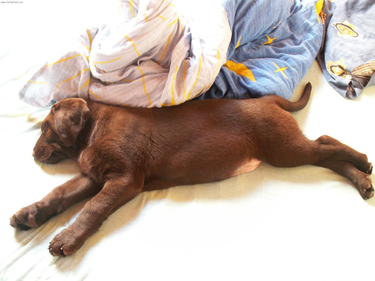 Foto: Ba�rn�-juuuj��k no nen� rozko�nej??:-)