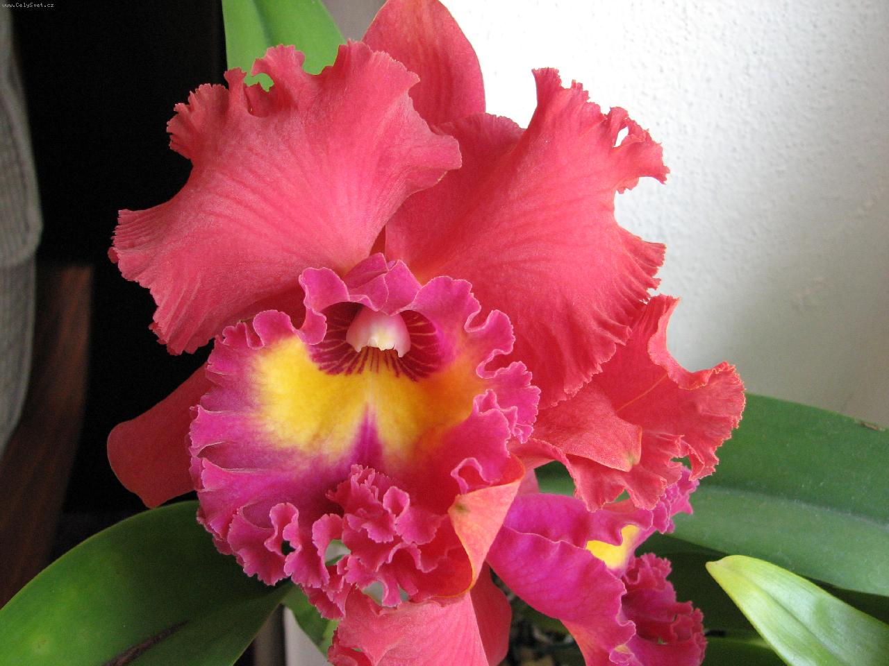 Foto: Lc. TAINAN CITY� "General"