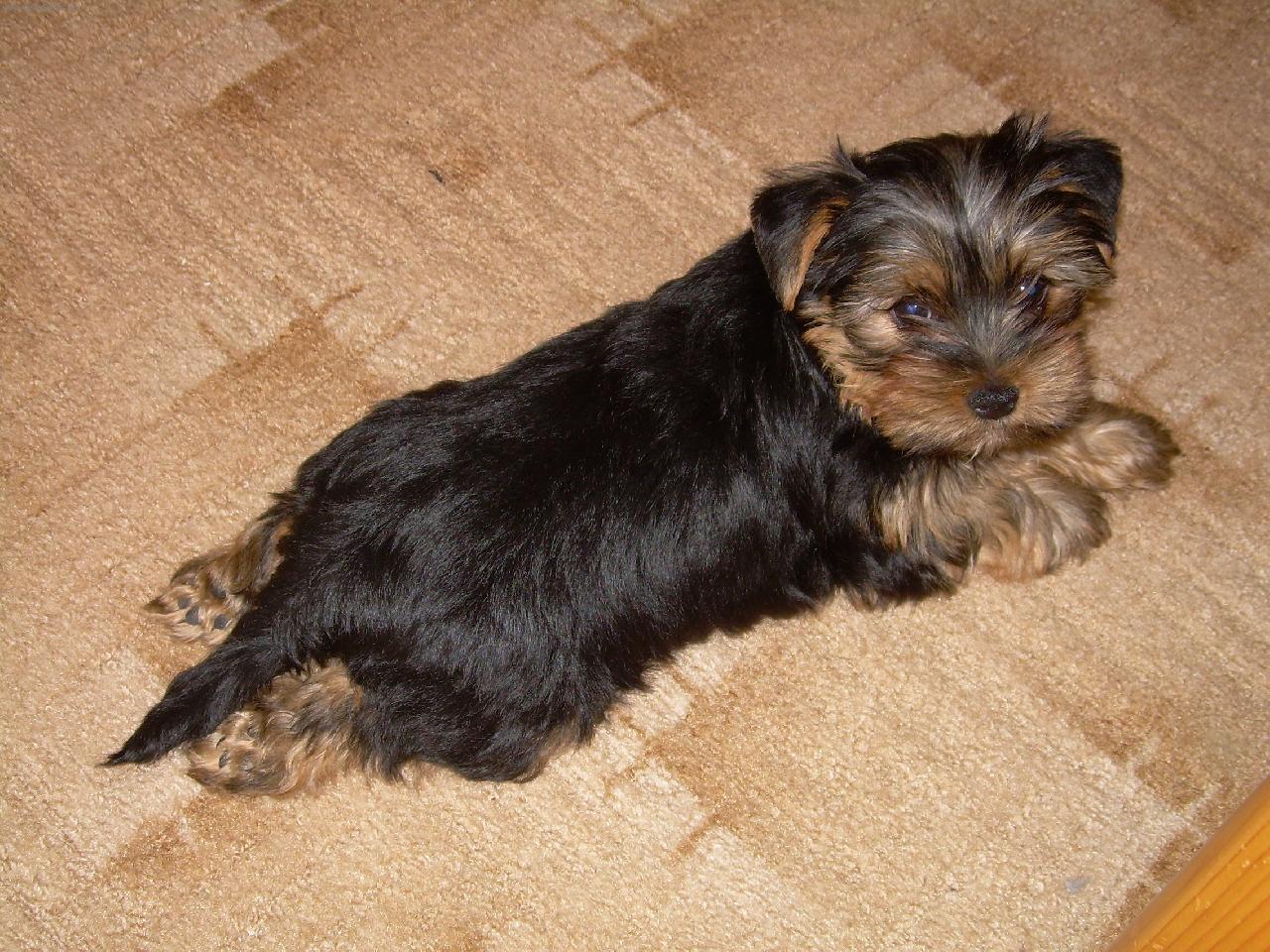 Foto: Max�k-Tady jsem je�t� jako mal� st�n�..