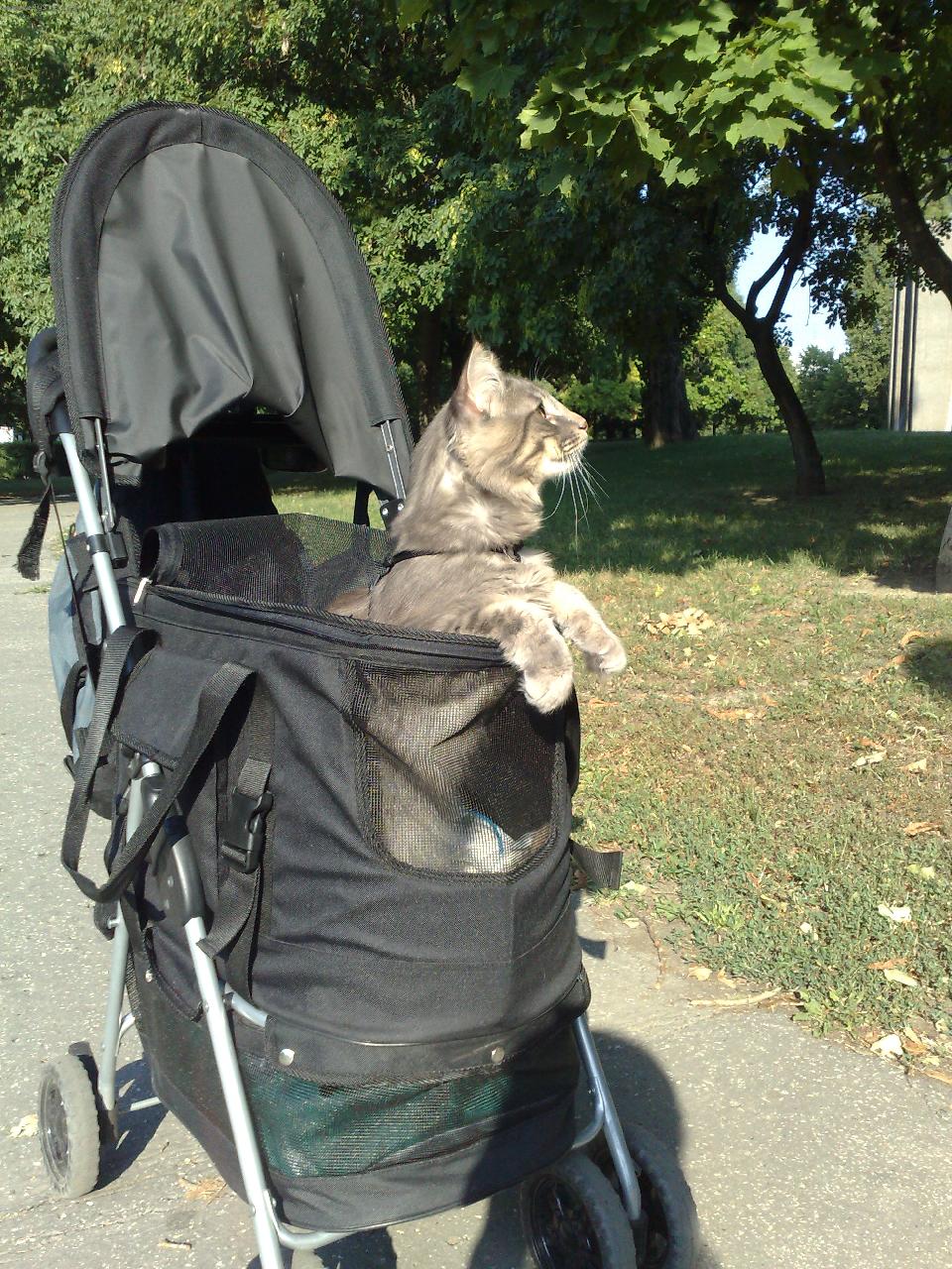 Foto: IC PL*ATLAS Harrison Ford-cesta za tituly