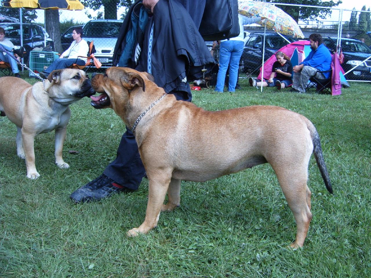 Foto: Atisa od Soutoku Orlic a Astarta s Ostrova Crim