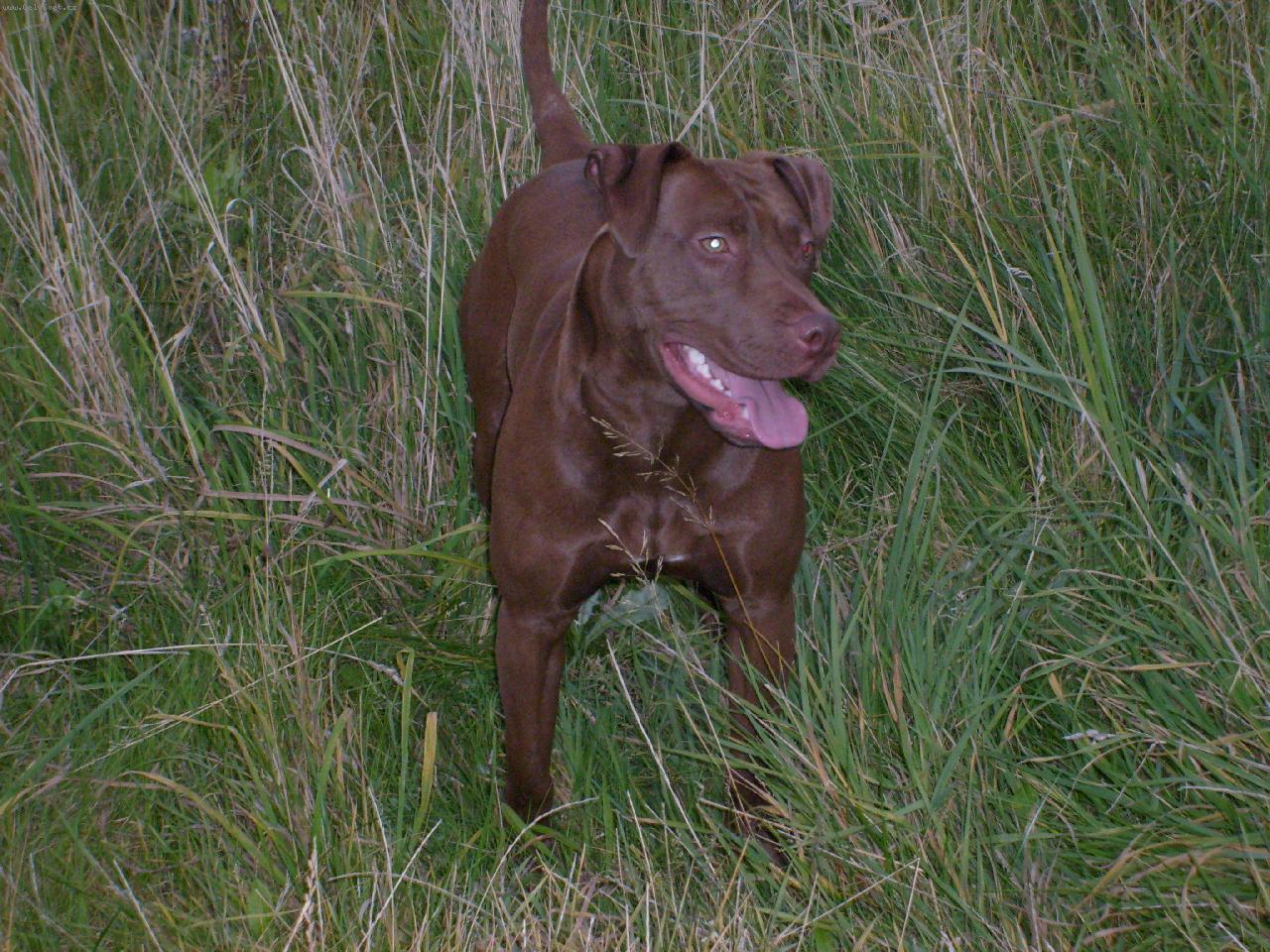 Foto: NAOMI-TAK SE C�T� NEJL�PE