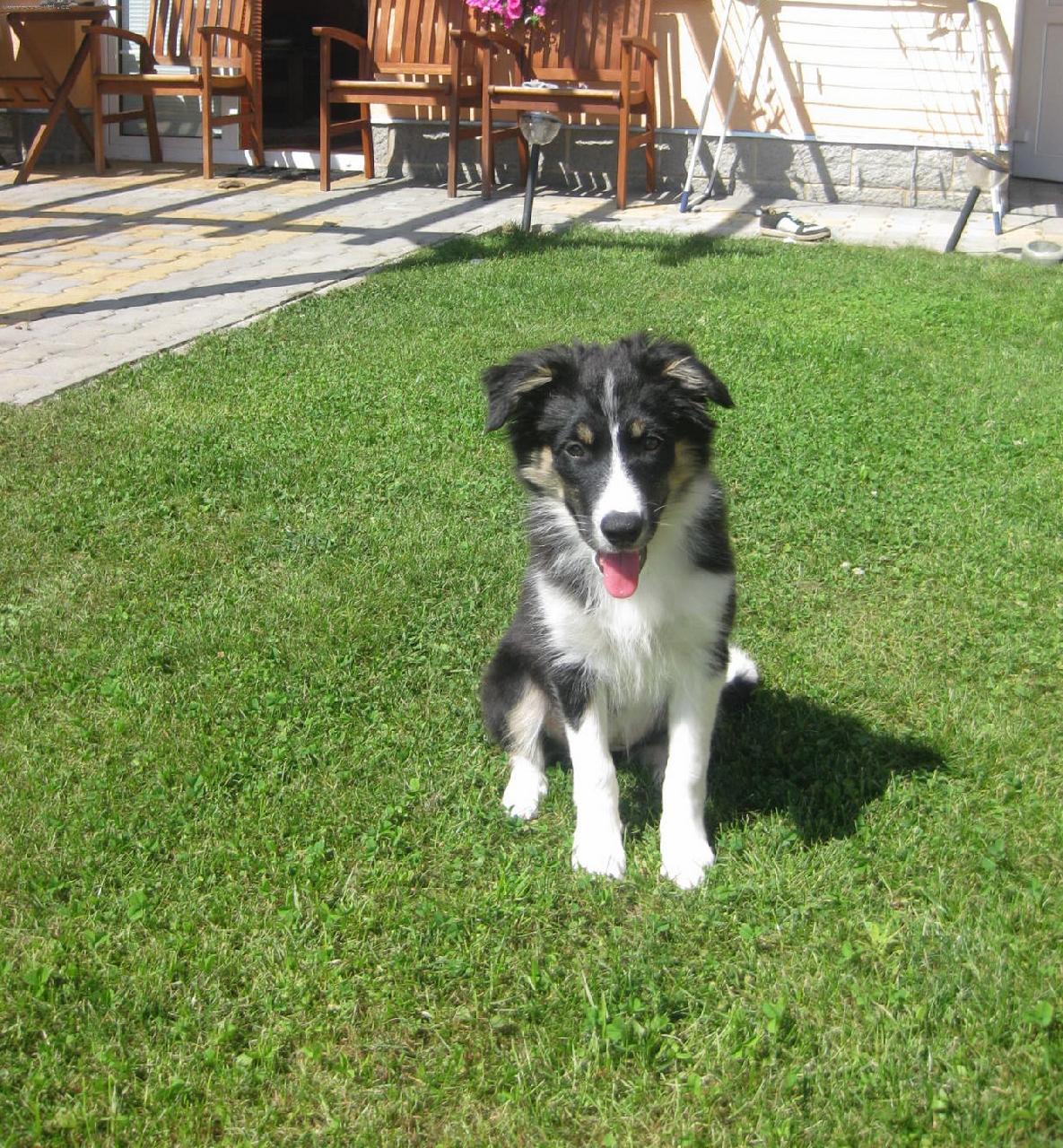 Foto: Bibinka-Bibinka ve 3 m�s�c�ch