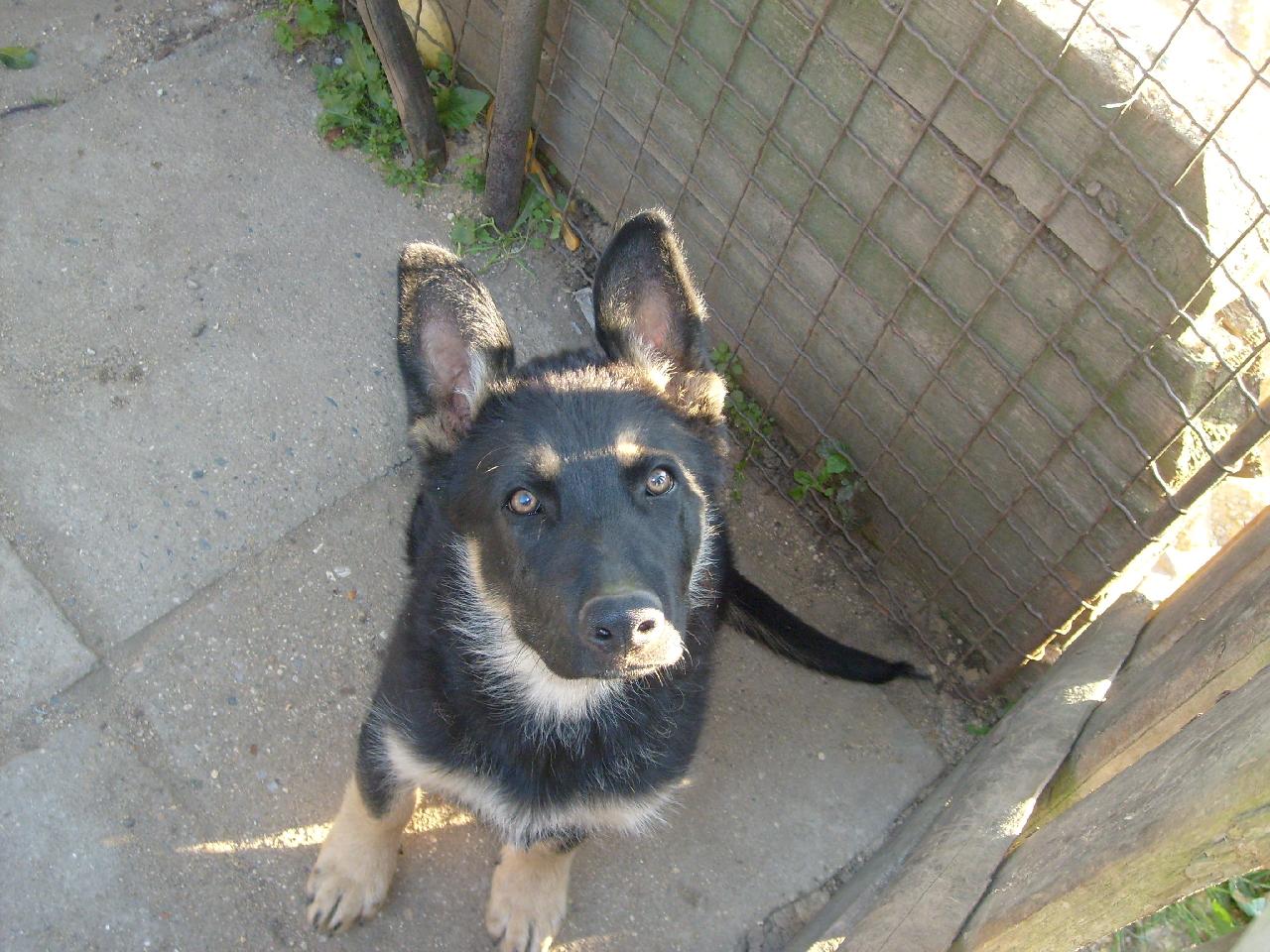 Foto: BEN-Ben kouk�