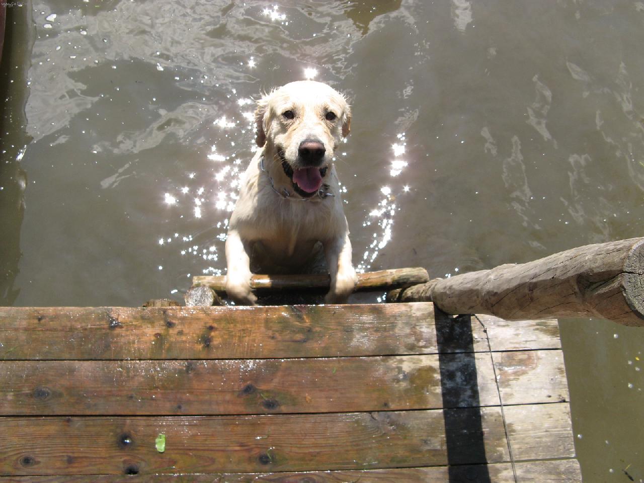 Foto: Astien-Tak co p�jde� do vody??