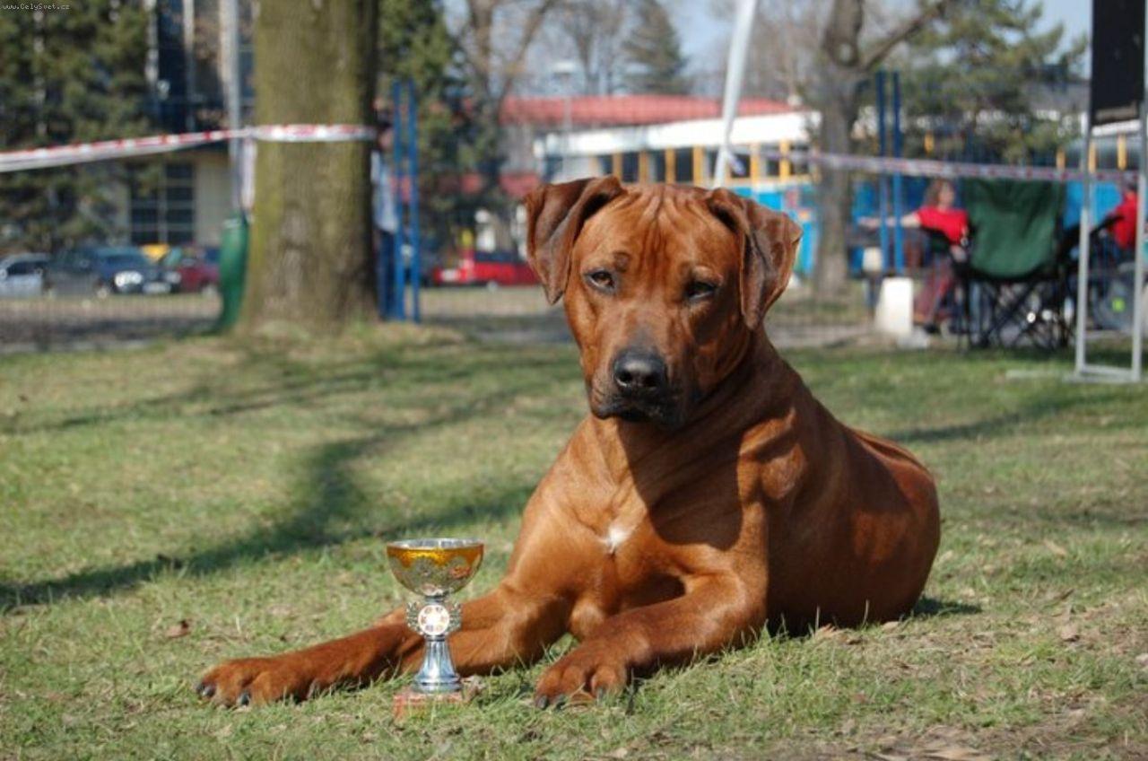 Foto: Jch. CH. Ntchwaidumela East Luis-Tat�nek