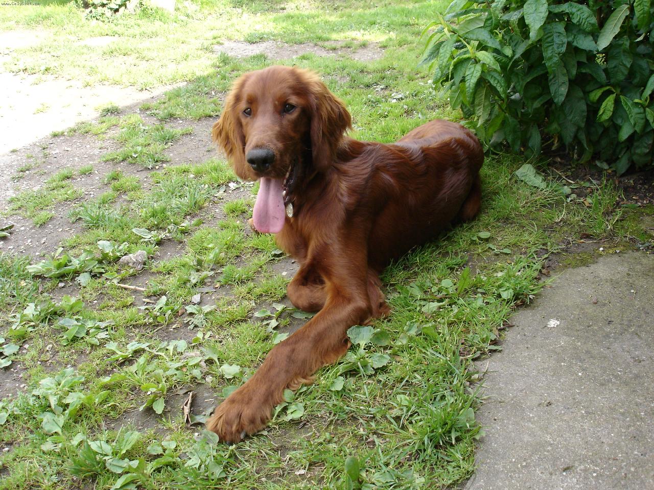 Foto: vz�cn� chv�le klidu po neust�l�m dov�d�n�-BONY-�t�n� 7m�s�c�