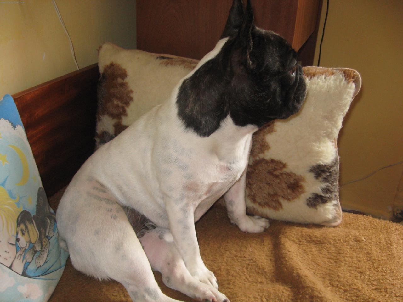 Foto: Andulka z D��iny-To m�m profil co? Jedna velik� n�dhera .