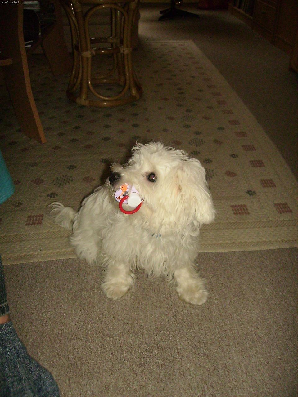 Foto: Maty� a dudl�k-Dudl�k mi moc chutnal.