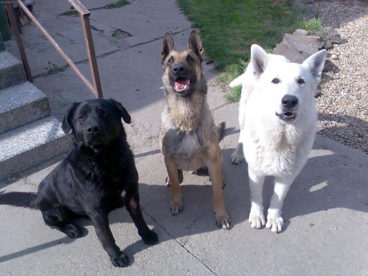 Foto: Bagir Happy Arenda-Bak a jeho kamar�di