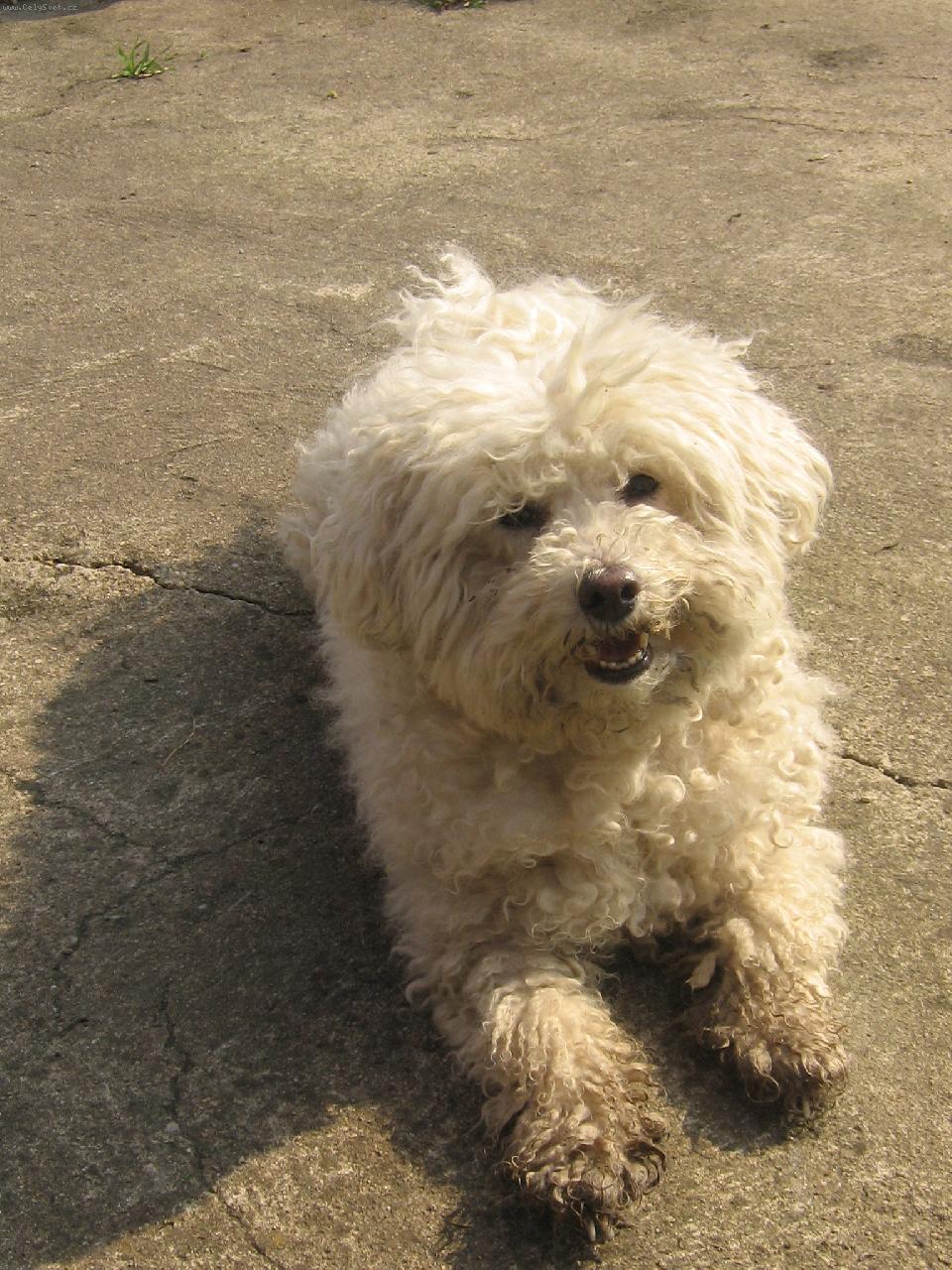 Foto: Na�e zlat��ko-kuk do sv�ta