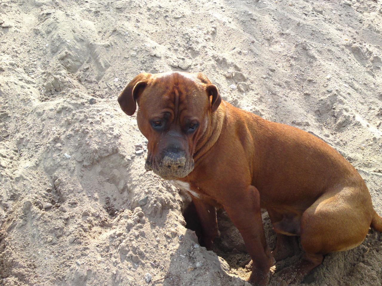 Foto: Gorb�k, ��ch�n� do p�sku