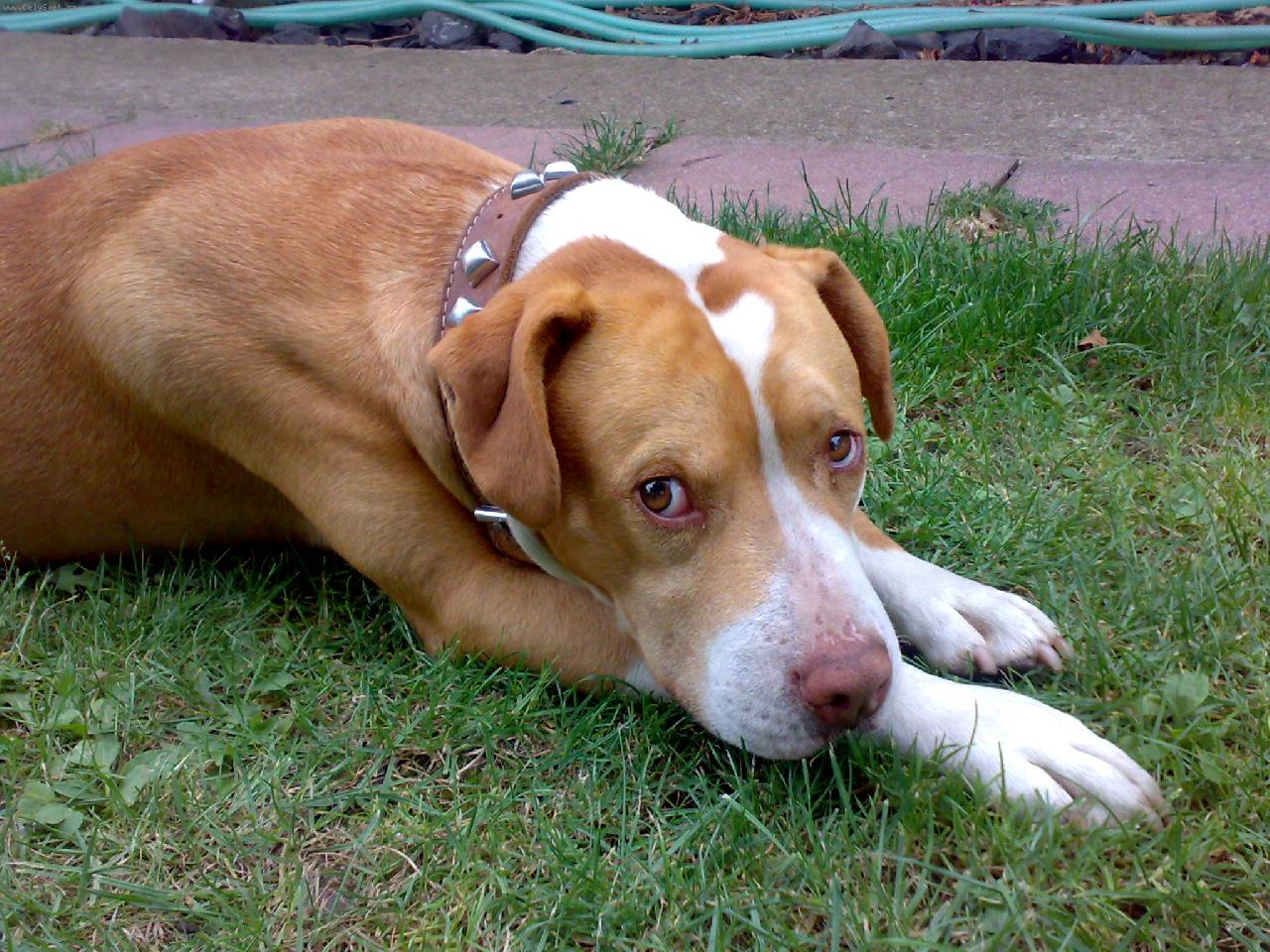 Foto: tak toje muj   jeden zmnoha   ale toho mam  hodne rad-gery  jeto  atlet